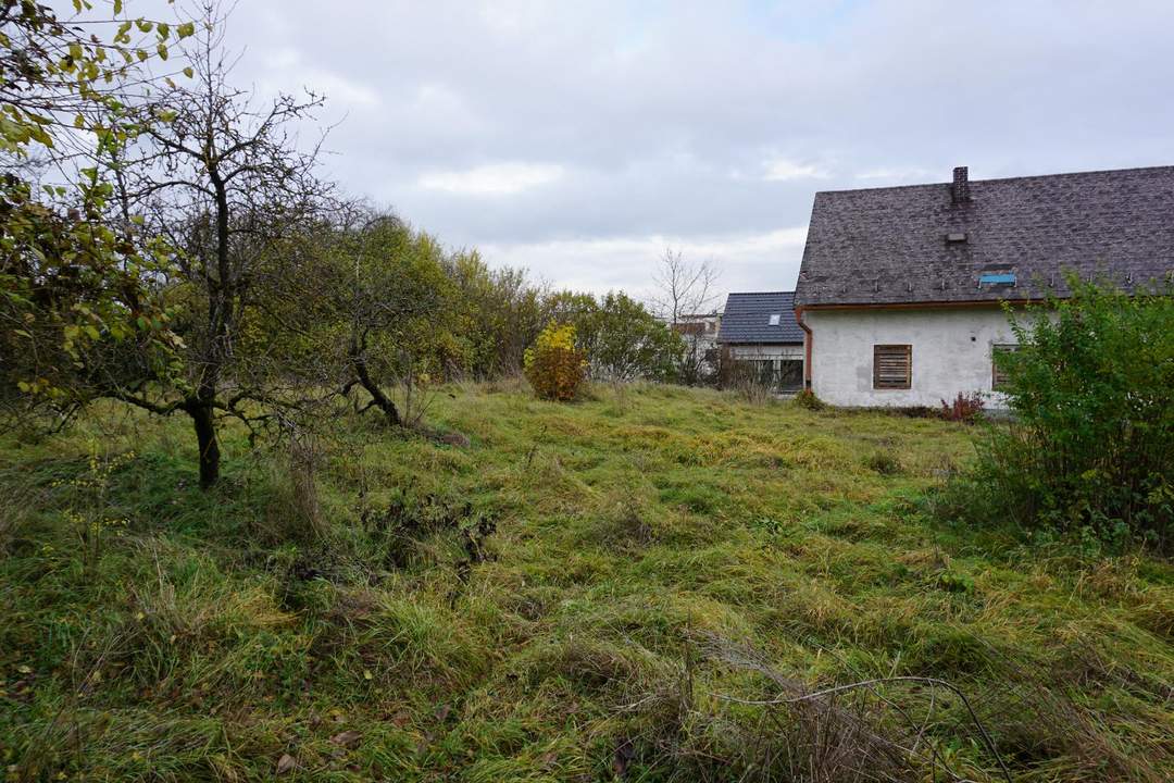 Großes Grundstück mit 1470m² in Pichling mit Abbruchhaus