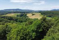 Wohnen wo andere Urlaub machen. Haus mit Nebengebäuden für Tierhaltung in traumhafter Aussichtslage im idylischen Burgenland.