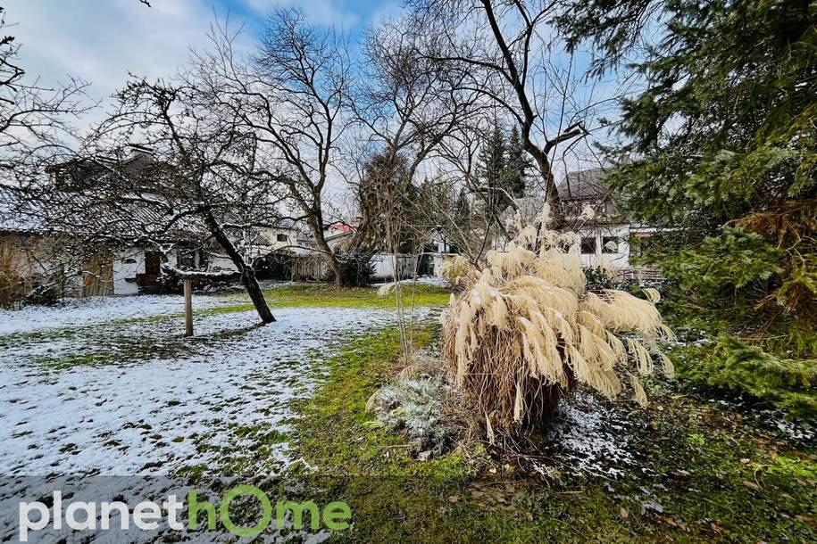 Baugrundstück mit Altbestand in Salzburg, Grund und Boden-kauf, 2.700.000,€, 5020 Salzburg(Stadt)