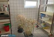 Leistbarer Familientraum Nähe Steyr-Neuzeug