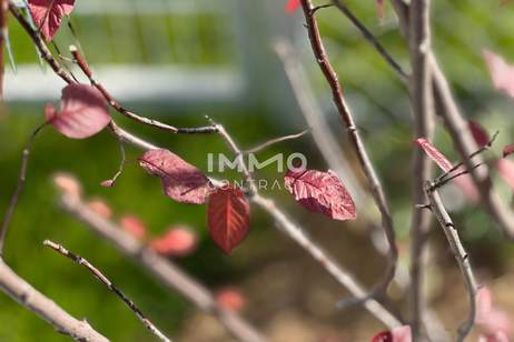 KREMSER WOHNDOMIZIL2Zi- 53qm - Balkonwohnung, Lift, Tiefgarage, in beliebter Grünruhelage, Wohnung-kauf, 265.000,€, 3500 Krems an der Donau(Stadt)