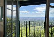 EXTRAVAGANT /// Villenmaisonette mit sensationallem Blick über Wien