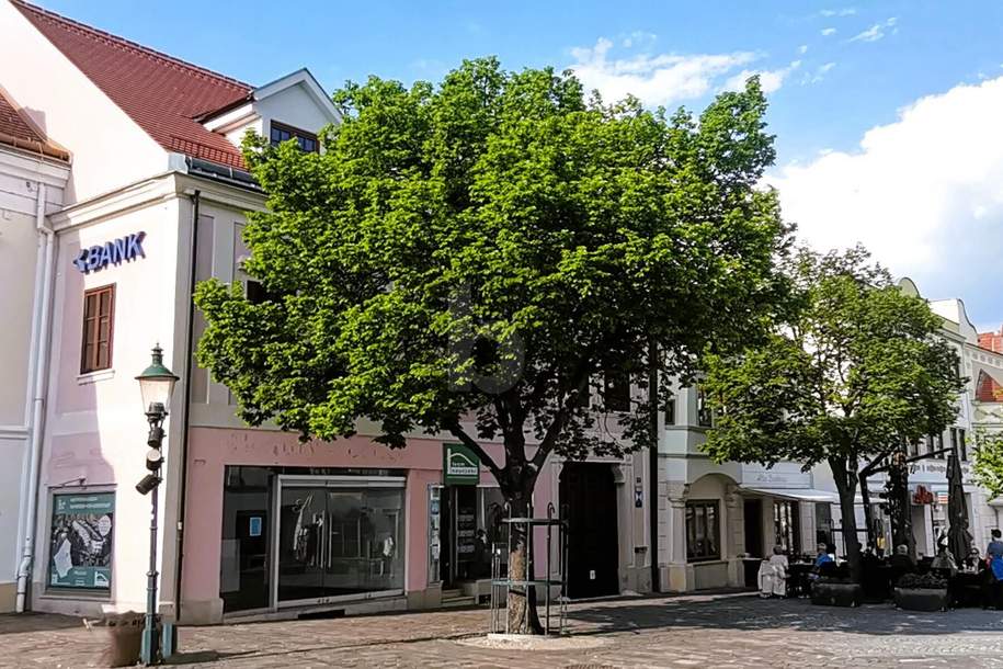 ELEGANTES GESCHÄFTSLOKAL - SOFORTÜBERNAHME - FREQUENZLAGE, Gewerbeobjekt-miete, 2.040,00,€, 7000 Eisenstadt(Stadt)