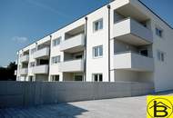 15506 Tolle große Terrasse