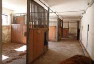 "Projektliegenschaft mit Entwicklungspotenzial!"