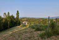 Solitär im Rebenland - Weingut in der Südweststeiermark in prächtiger Alleinlage