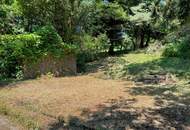 Großzügiges Baugrundstück mit Abbruchhaus und Grünlandanteil im Irenental