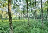 Erholung pur im eigenen Wald mit Bach und Wiesen nähe Amstetten