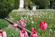 RUHEOASE MIT POOL AUF EIGENGRUND – KLEINGARTENHAUS "Frohes Schaffen" in 1210 WIEN