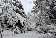 Herrschaftliche Villa in ruhiger Lage | Gartenwohnung mit ca. 4,40 m Raumhöhe | sanierungsbedürftig | Parkplatz | U-Bahnnähe