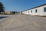 GIGANTISCH gesucht? HIER RICHTIG