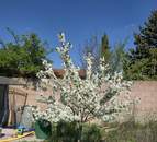 Tadten: Ausstattungszustand "kernsaniert und bezugsfertig"- Besichtigung auch Abends oder Wochenende möglich