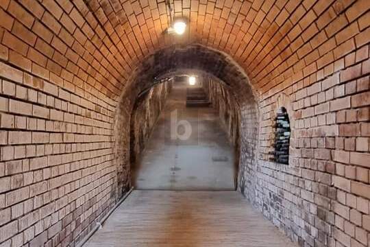 HISTORISCHER WEINKELLER IN TOP LAGE, Gewerbeobjekt-kauf, 100.000,€, 3484 Tulln