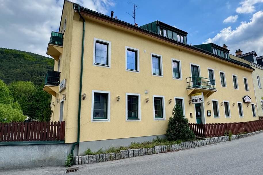 Gästehaus inkl. Restaurant - Gelegenheit in idyllischer Lage, Gewerbeobjekt-kauf, 799.000,€, 2534 Baden