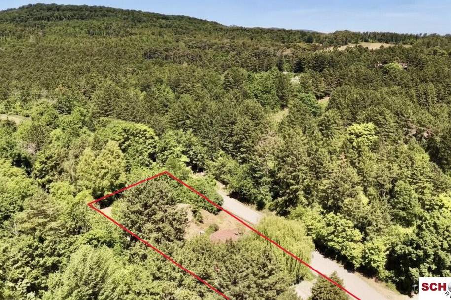 2.061 m2 Traumgrund neben dem Wald, Grund und Boden-kauf, 590.000,€, 2551 Baden