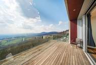 Einzigartiger Blick über Wien! Garconniere mit Terrasse am Kahlenberg