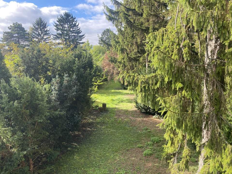 "Baugrund mit Sommerhaus in bester Lage"