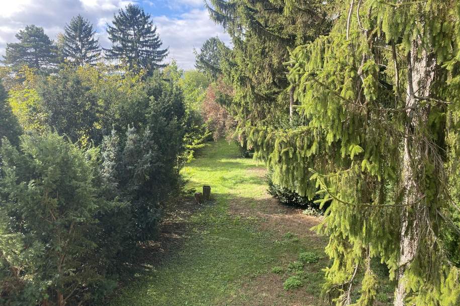 "Baugrund mit Sommerhaus in bester Lage", Grund und Boden-kauf, 949.000,€, 2103 Korneuburg