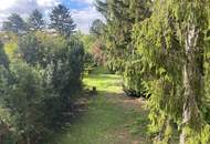 "Baugrund mit Sommerhaus in bester Lage"