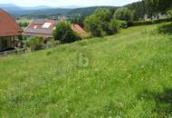 SONNIGE HANGLAGE AM WALDRAND