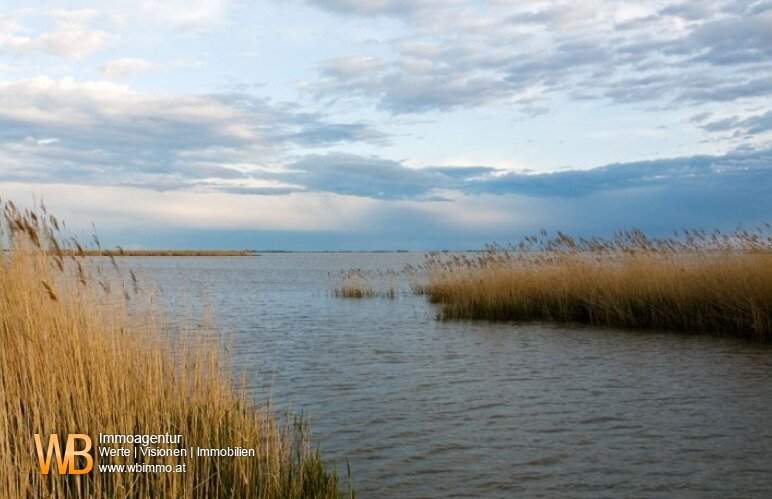 Röhricht/Schilf und Wasserfläche in Mörbisch, 3 Grundstücke, zusammen 7 ha