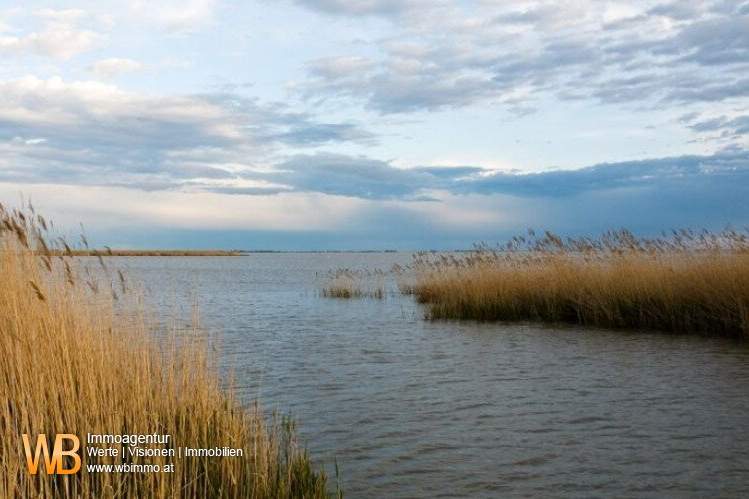 Röhricht/Schilf und Wasserfläche in Mörbisch, 3 Grundstücke, zusammen 7 ha, Grund und Boden-kauf, 52.500,€, 7072 Eisenstadt-Umgebung