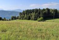 Traumhaftes Baugrundstück in Sappl, Kärnten – Blick auf den Millstätter See.