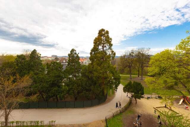 Castellezgasse - Erstbezug nach Generalsanierung - 2 Zimmer Stilaltbau mit Blick in den Augarten
