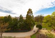 Castellezgasse - Erstbezug nach Generalsanierung - 2 Zimmer Stilaltbau mit Blick in den Augarten