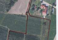 2,5 ha Landwirtschaftlicher Grund in sehr guter Lage
