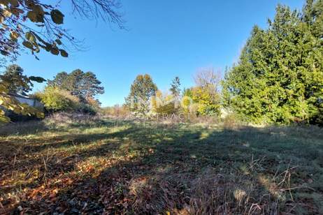 Attraktives Bauträgergrundstück in Ulrichskirchen – 3.560 m² Bauland in ruhiger Siedlungslage, Grund und Boden-kauf, 590.000,€, 2122 Mistelbach