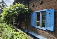 NEUER PREIS: wunderschönes Landhaus in perfekter Naturidylle