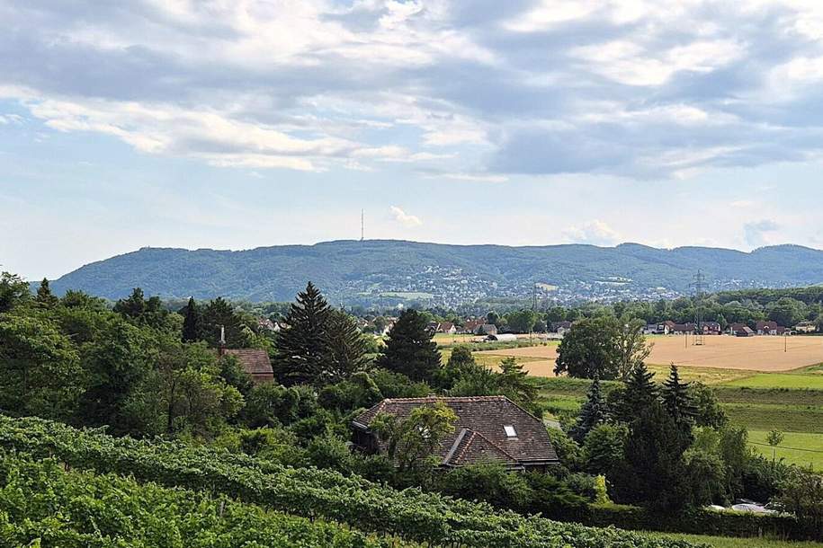 Helles Reihenhaus mit Fernblick und 2 Stellplätzen, Haus-miete, 2.525,36,€, 2102 Korneuburg