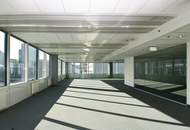 Moderne Bürofläche 350 m2 in 1220 Wien bei UNO City