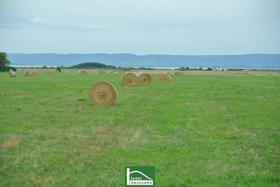 MODERNES, cooles Design, tolle Ausstattung - DURCHDACHTE Grundrisse für Ihren Wohntraum– PANNONIA SEEBLICK- immer Urlaubsfeeling!