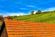 3-Zimmer Dachgeschosswohnung inmitten der Weinberge von Klöch - Erstbezug!