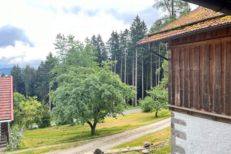 Liebhaberobjekt in Alleinlage, Haus-kauf, 469.000,€, 4091 Schärding