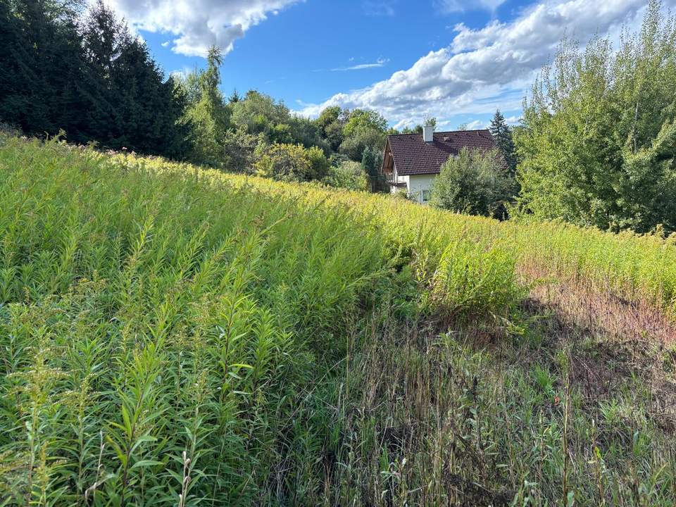 KAPITALANLAGE - Grundstück ohne Bauzwang nahe Schärding