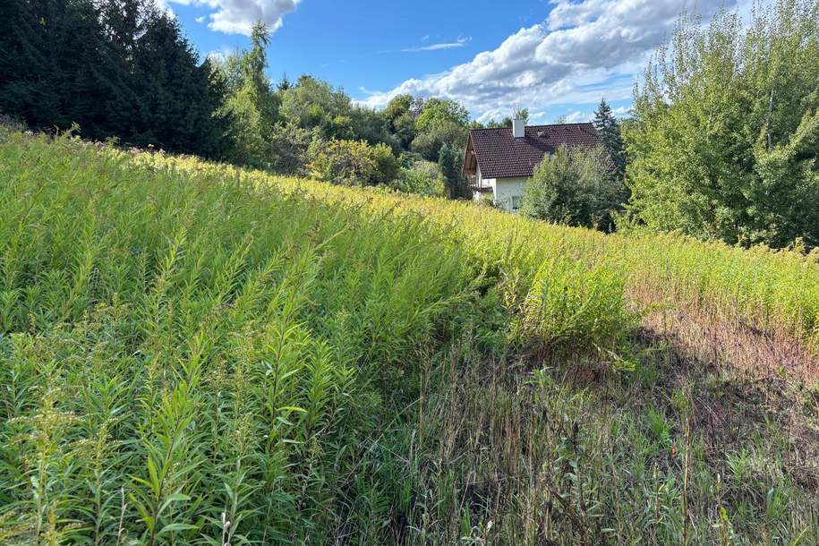 KAPITALANLAGE - Grundstück ohne Bauzwang nahe Schärding, Grund und Boden-kauf, 105.925,€, 4782 Schärding