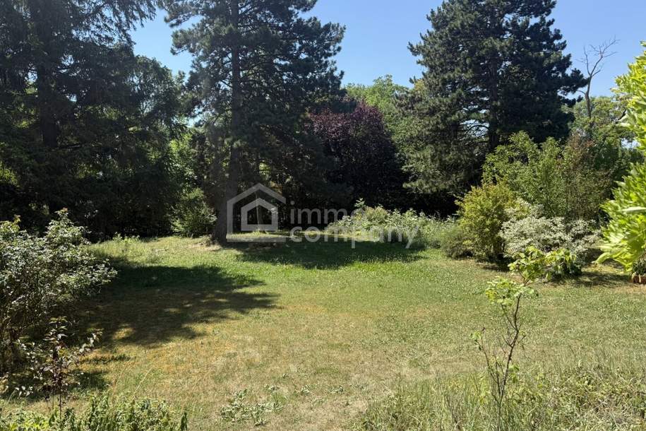 Wenn Größe auf Potenzial trifft: 1.884 m² in begehrter Wohnlage von Bad Fischau, Grund und Boden-kauf, 690.000,€, 2721 Wiener Neustadt(Land)