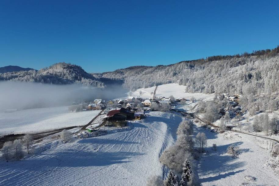 Einfamilienhaus i.Ruhelage Radsberg – parkähnlicher Garten, Wintergarten, Kachelofen + Nebengebäude, Haus-kauf, 590.000,€, 9065 Klagenfurt Land