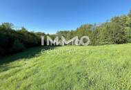 Erholung pur im eigenen Wald mit Bach und Wiesen nähe Amstetten