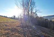 Sonniges Baugrundstück auf Südwest-Hang im Irenental