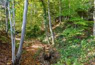 ***Auszeit - Mit der Natur im Einklang*** Top Anwesen mit Ausblick auf den Traunstein und Traunsee