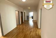 5-Zimmer-Büro in Krems-Stein mit Donaublick
