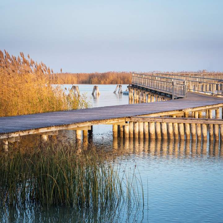 "The Lagoon" - Modern - Nachhaltig - Elegant PROVISIONSFREI
