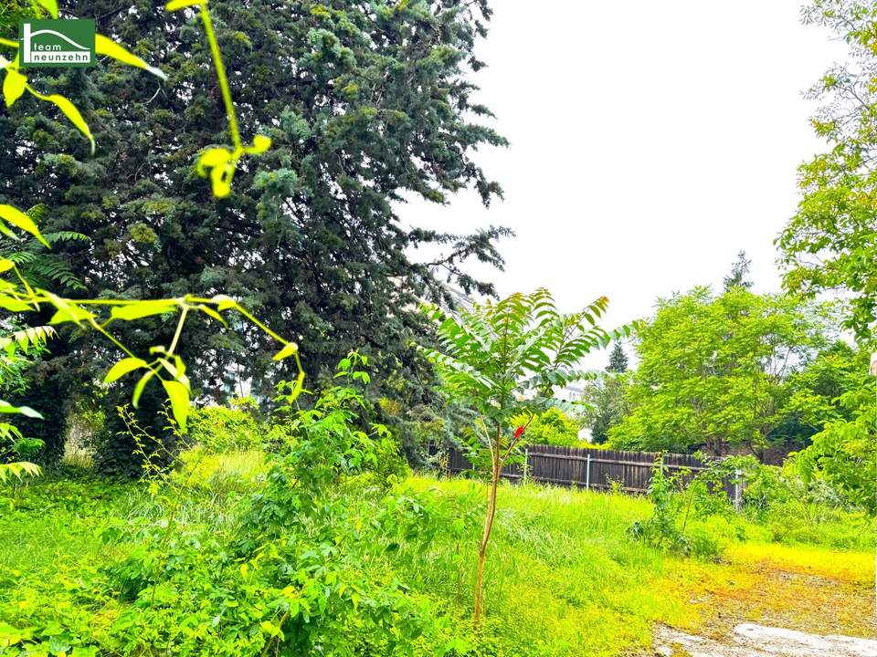 Für Bauträger! 1.750m² erzielbare Neubau-Wohnnutzfläche in sehr guter Lage!