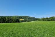 LANDWIRTSCHAFT VOR DEN TOREN WIENS