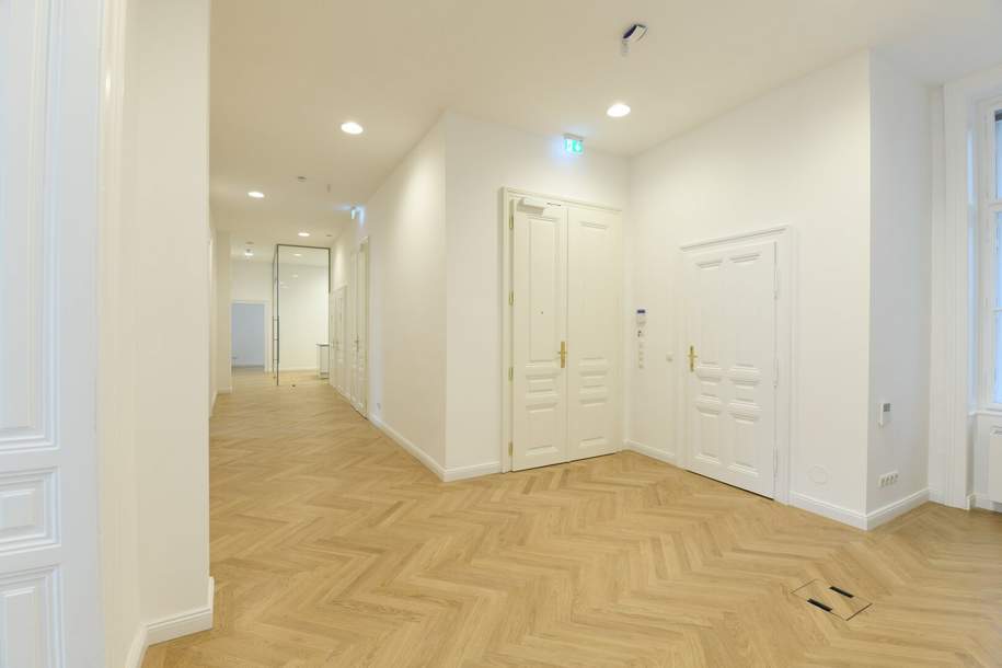 Modernes Büro mit 236,45 m² in repräsentativem Gebäude – sofort bezugsfertig, Gewerbeobjekt-miete, 5.736,43,€, 1010 Wien 1., Innere Stadt