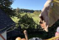 Sanierungsbedürftiges Einfamilienhaus in Vordersdorf - Hier entstehen neue Wohnträume